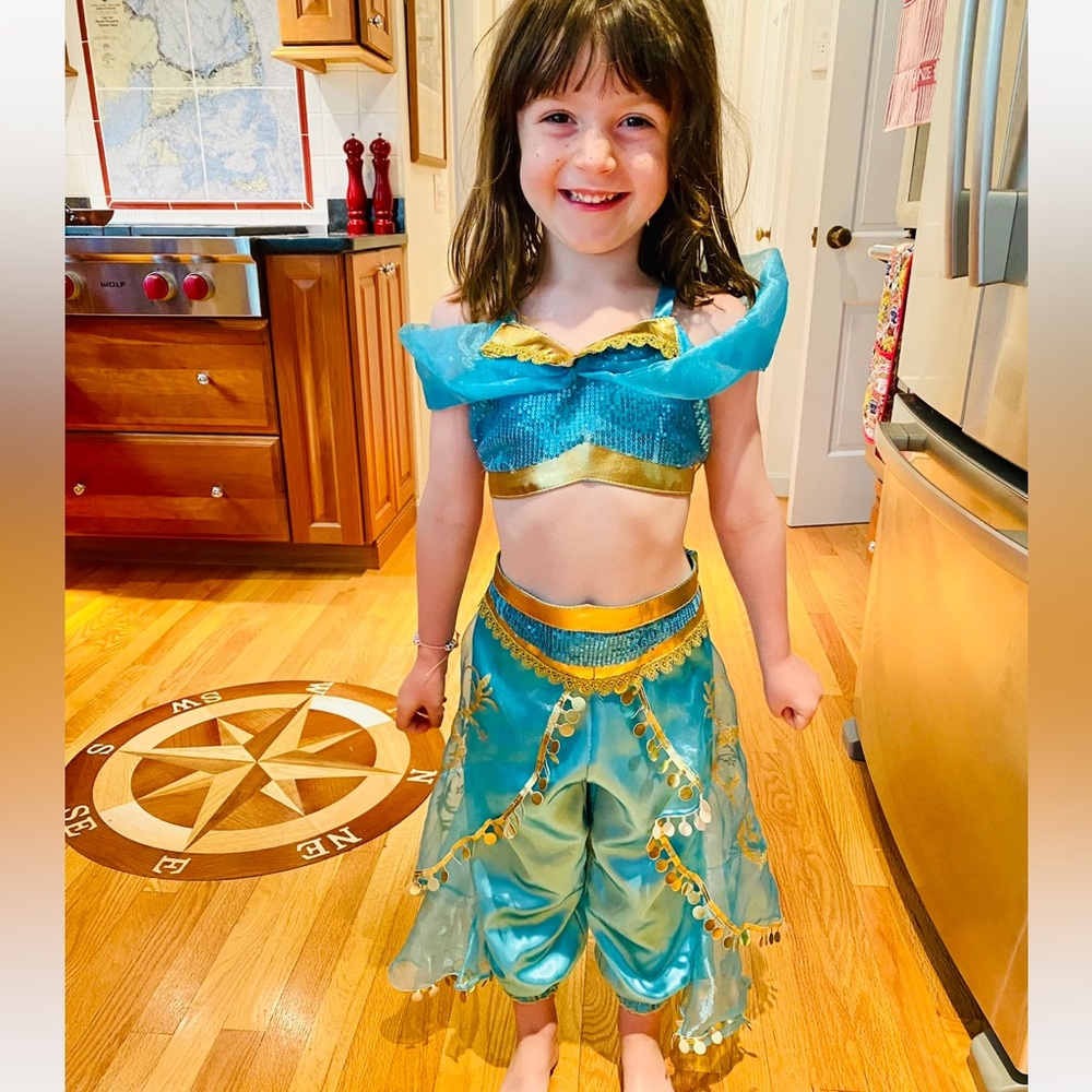 Arabian Princess Costume Girls 4-5